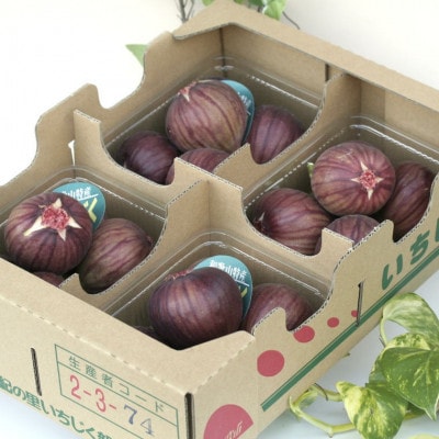 和歌山県産新鮮いちじく約300g×4パック入り