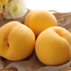 【数量限定】人気の和歌山県産黄金桃(つきあかり)約2kg　秀品　2024年度発送分 | ふるさと納税のお礼品