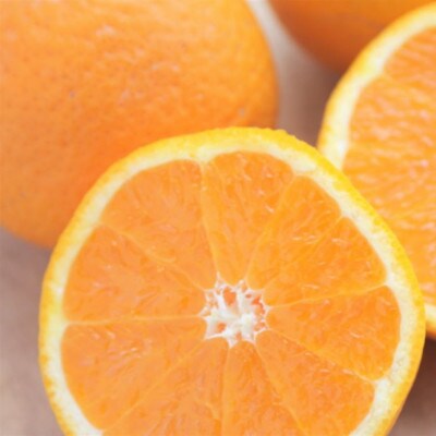 Amazon.co.jp: 和歌山県産 きよみ オレンジ 2Sサイズ～3L