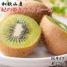 和歌山県産紀の姫キウイフルーツ約2kg(Sサイズ)・秀品