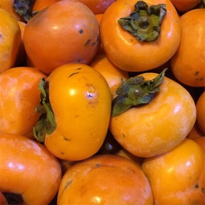 【秋の味覚】和歌山産のたねなし柿約2kg(ご家庭用)