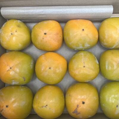 【秋の味覚】和歌山産のたねなし柿約2kg(ご家庭用)