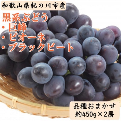[産地直送]和歌山県産黒系ぶどう約450g×2房(品種おまかせ)