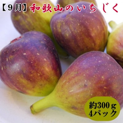 【発送月固定定期便】和歌山の夏の人気フルーツ(桃・梨・いちじく)定期便全3回