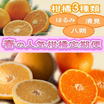 【発送月固定定期便】和歌山の春の柑橘(八朔・清見オレンジ・はるみみかん)定期便全3回