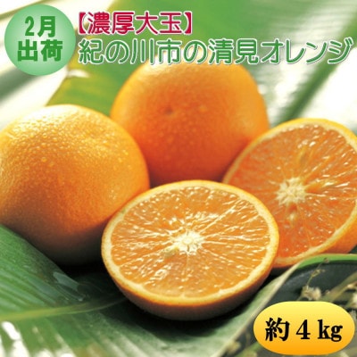 【発送月固定定期便】和歌山の春の柑橘(八朔・清見オレンジ・はるみみかん)定期便全3回