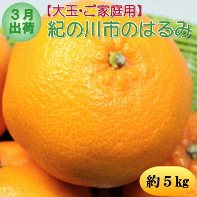 【発送月固定定期便】和歌山の春の柑橘(八朔・清見オレンジ・はるみみかん)定期便全3回