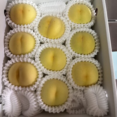 和歌山県紀の川市桃山町で栽培した　あら川の桃　ご家庭用　約2kg　(6～9玉入り)