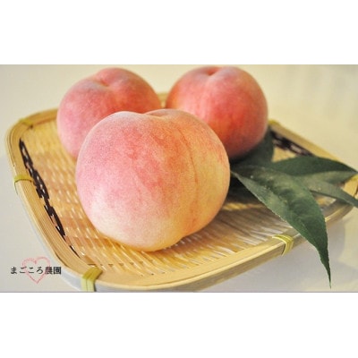 和歌山県紀の川市桃山町で栽培した　あら川の桃　ご家庭用　約1.5kg(4～7玉入り)