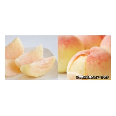 和歌山県紀の川市桃山町で栽培した　あら川の桃　ご家庭用　約1.5kg(4～7玉入り)