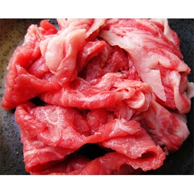【和歌山県特産和牛】《熊野牛》 切り落とし 約600g