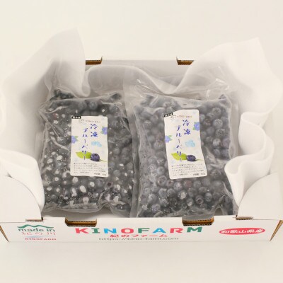 【産直】冷凍ブルーベリー　和歌山県紀の川市　500g×2袋