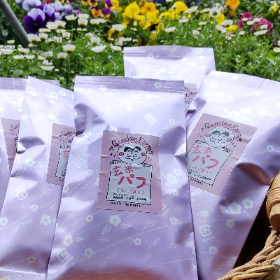 玄米パフ(10p入り)自然で優しい素朴なスナック菓子