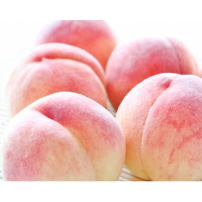 【産直】温室育ちの「あら川の桃」(白鳳)　秀品　約1kg(5玉入り)