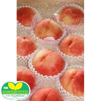 和歌山県産　あら川の桃　1箱 (約3kg(6～10個入り)秀品)