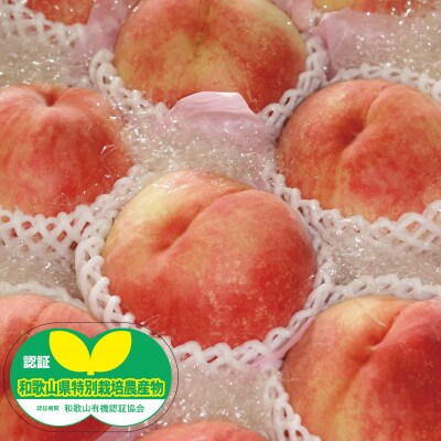 【6月下旬～7月上旬出荷】和歌山県産　あら川の桃　1箱 (約3kg(6～10個入り)秀品)