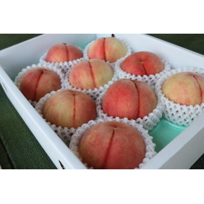 【6月下旬～7月上旬出荷】和歌山県産　あら川の桃　1箱 (約3kg(6～10個入り)秀品)