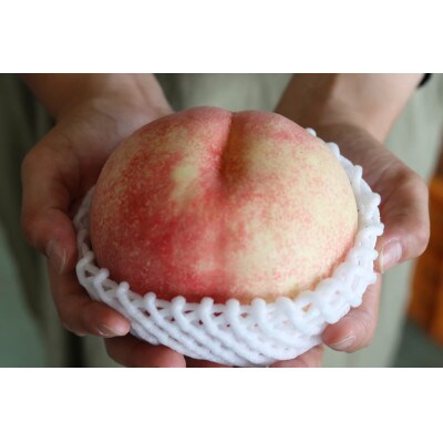 【6月下旬～7月上旬出荷】和歌山県産　あら川の桃　1箱 (約3kg(6～10個入り)秀品)