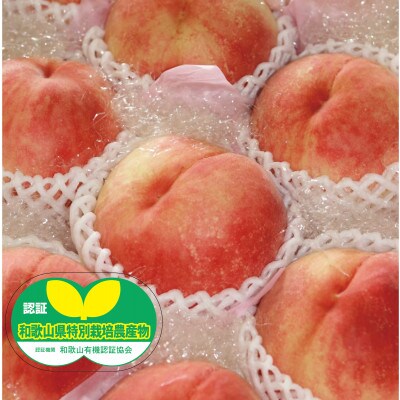 【7月下旬～8月上旬出荷】和歌山県産　あら川の桃　1箱 (約3kg(6～10個入り)秀品)