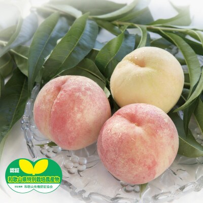 7月中旬～8月上旬出荷】和歌山県産 あら川の桃 1箱 (約2kg(5〜6