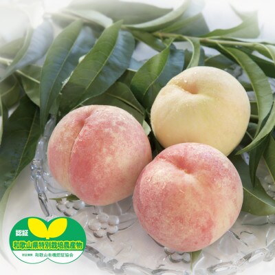 【6月下旬～7月上旬出荷】和歌山県産　あら川の桃　1箱 (約3kg(6～10個入り)秀品)