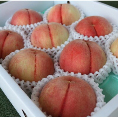 【6月下旬～7月上旬出荷】和歌山県産　あら川の桃　1箱 (約3kg(6～10個入り)秀品)