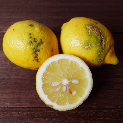 [訳ありBランク]やさしい黒潮檸檬 B級3kg(箱込み)　節減対象農薬:当地比約75%減