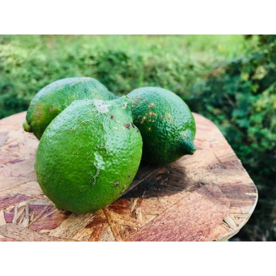 [訳ありBランク]やさしい黒潮檸檬 B級3kg(箱込み)　節減対象農薬:当地比約75%減
