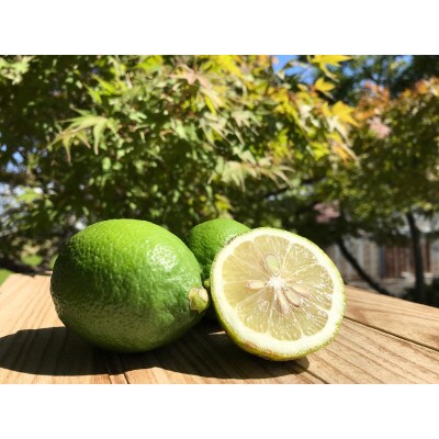 【果皮も安心】やさしい黒潮檸檬 2kg　節減対象農薬:当地比約75%減