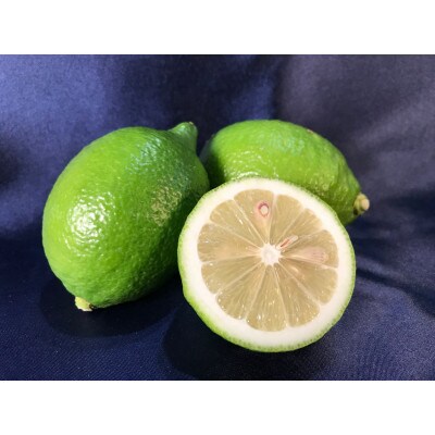 【果皮も安心】やさしい黒潮檸檬 3kg　節減対象農薬:当地比約75%減