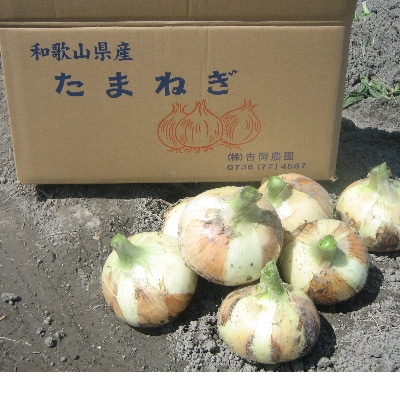 和歌山県産 吉岡農園の紀の川オニオン 2l以上10kg お礼品詳細 ふるさと納税なら さとふる 和歌山県産 吉岡農園の紀の川オニオン 2l以上10kg お礼品詳細 ふるさと納税なら さとふる