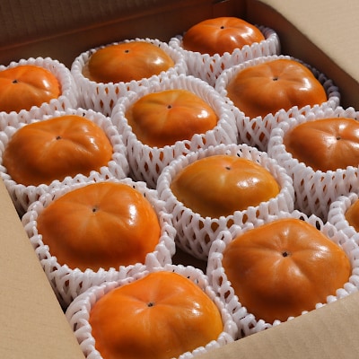 【産地直送】和歌山県産　柿　2.5kg　11玉～12玉