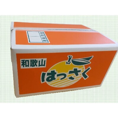 【橋村農園】紀の川はっさく 約10kg Lサイズ