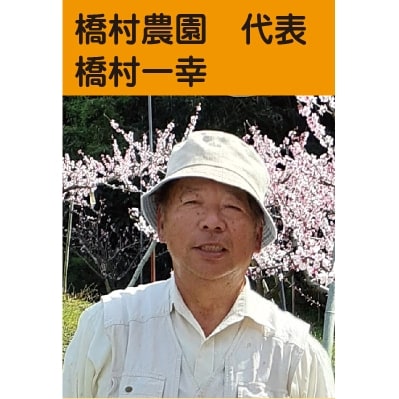 橋村農園のあらかわの桃　2.5～3kg(6～8個入)2025年7月上旬以降発送