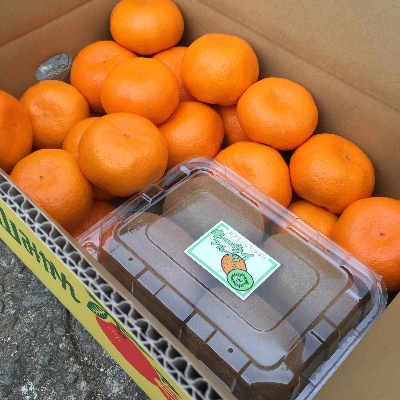 【和田果樹園】紀の川市産　温州みかん3kg+キウイフルーツ8個