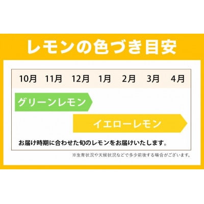 アトランティスファームの国産レモン 約1kg+100g(11月より順次発送予定)