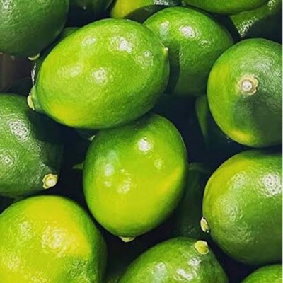 【訳あり】アトランティスファームの国産レモン 約10kg+1kg (11月より順次発送予定)