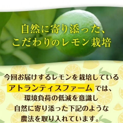 【訳あり】アトランティスファームの国産レモン 約5kg+500g(11月より順次発送予定)
