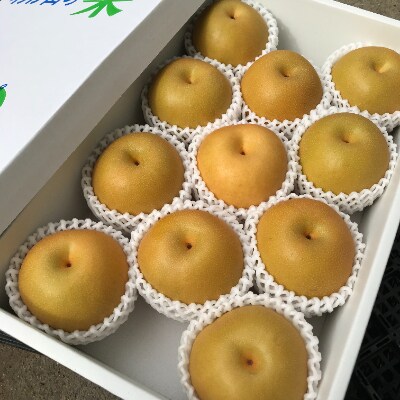 【2022年8月下旬発送分】和歌山県産豊水梨約4kg(9個～12個)化粧箱入り