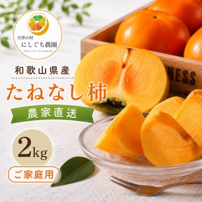 【2026年10月上旬以降発送】和歌山県産たねなし柿2kg(ご家庭用)