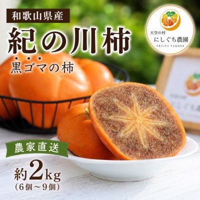 【2026年10月中旬以降発送】紀の川柿約2kg　和歌山県特産希少な柿!