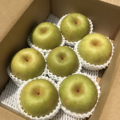 【2023年8月上旬発送】和歌山産幸水梨 約2kg(6～7個入り)