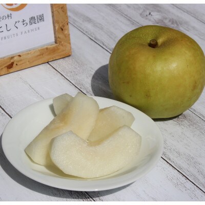 【2022年8月上旬発送】和歌山産幸水梨 大玉約2.5kg(5～6個入り)
