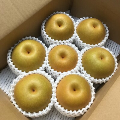 【2023年8月下旬より発送】和歌山県産豊水梨2kg(6個～7個入)