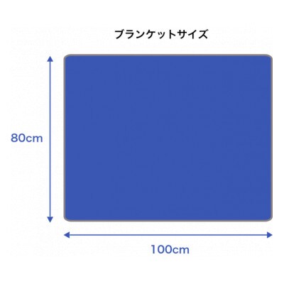 子どもから大人まで!独自開発の撥水&保温ブランケット(カーキ)