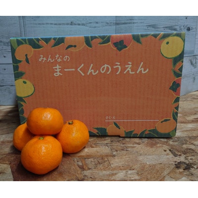 甘くてジューシー♪まーくん家人気のみかん 2キロ箱