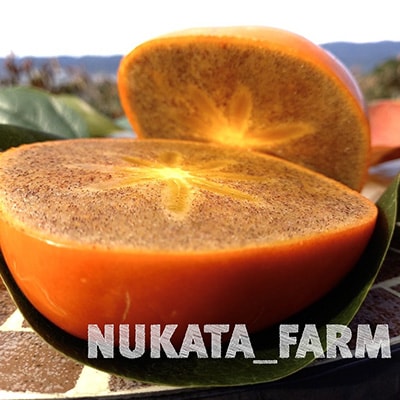 【紀州富士のMEGUMI】紀の川柿約2kg(黒いダイヤ)NUKATA_FARM