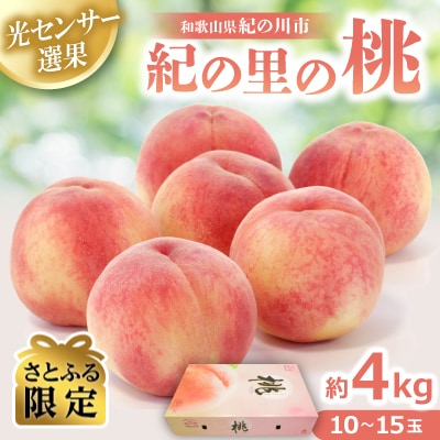 【さとふる限定】「紀の里の桃」光センサー選果 約4kg 10～15玉(和歌山県産)