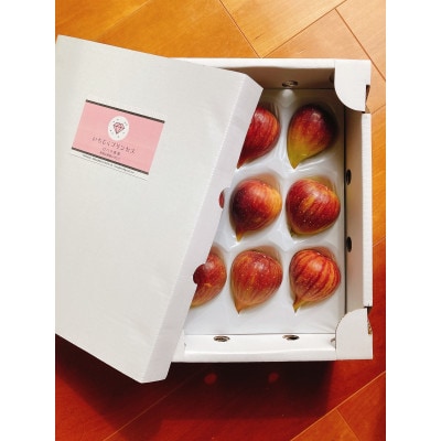 【8月上旬以降お届け】いちじくプリンセス