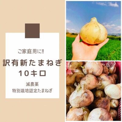 訳あり新たまねぎ10キロ